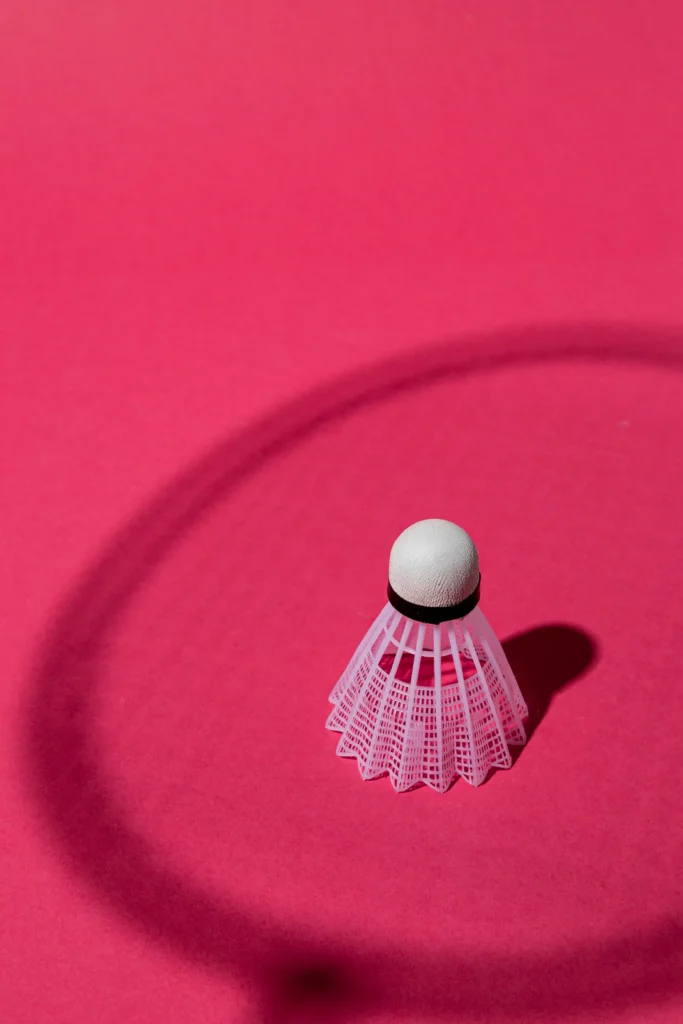 badmintono plunksnelė ir raketės šešėlis